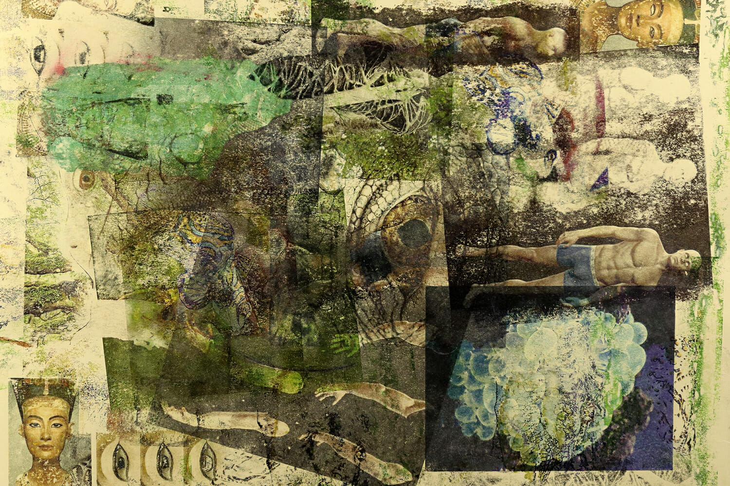 Protejarea â€žraseiâ€ È™i moÈ™tenirea eugeniei image